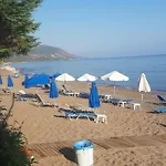 Amalia * Polis